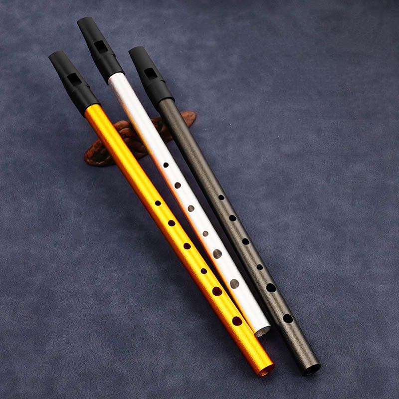 Penny Whistle D - Flauta irlandesa auténtica de 6 agujeros,