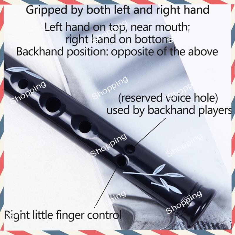 Silbato de estaño irlandés A44 - Penny Whistle D reseña y precio